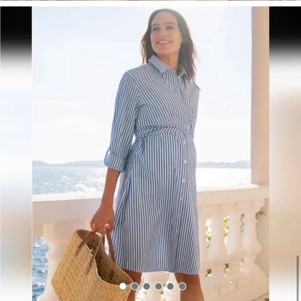 Seraphine Blue and White Striped Maternity/Nursing Shirt Dress - Picture 7 of 15